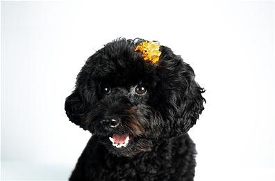 真事改编恐怖游戏《无声频道2》12月8日正式发售